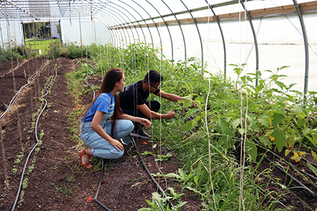 Kettering students look at the produce in the solar powered hoophouse they are working on.