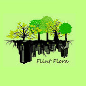 Flint Flora